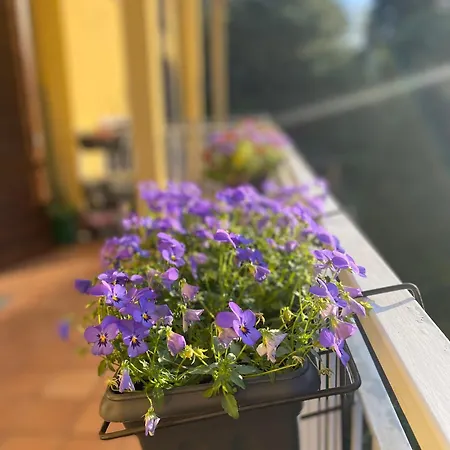 Anna Lungo Fiume - Maggiore Appartement