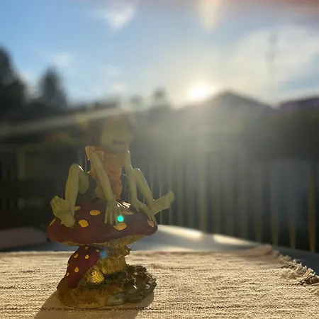 Anna Lungo Fiume - Maggiore Appartement *