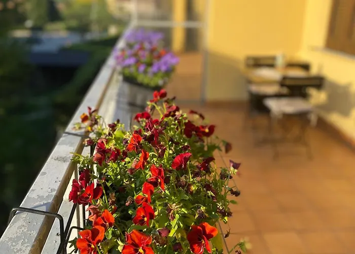 Apartament Anna Lungo Fiume - Maggiore