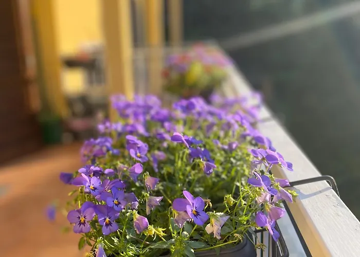 Anna Lungo Fiume - Maggiore Lejlighed