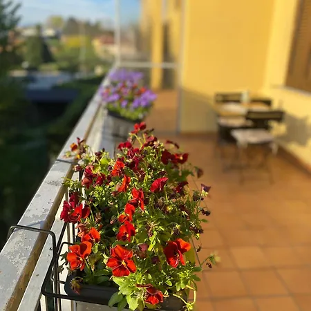 Apartment Anna Lungo Fiume - Maggiore